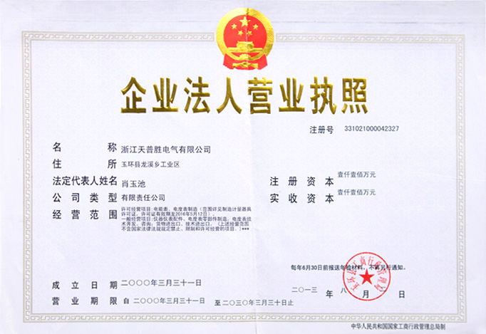 Business corporation business license